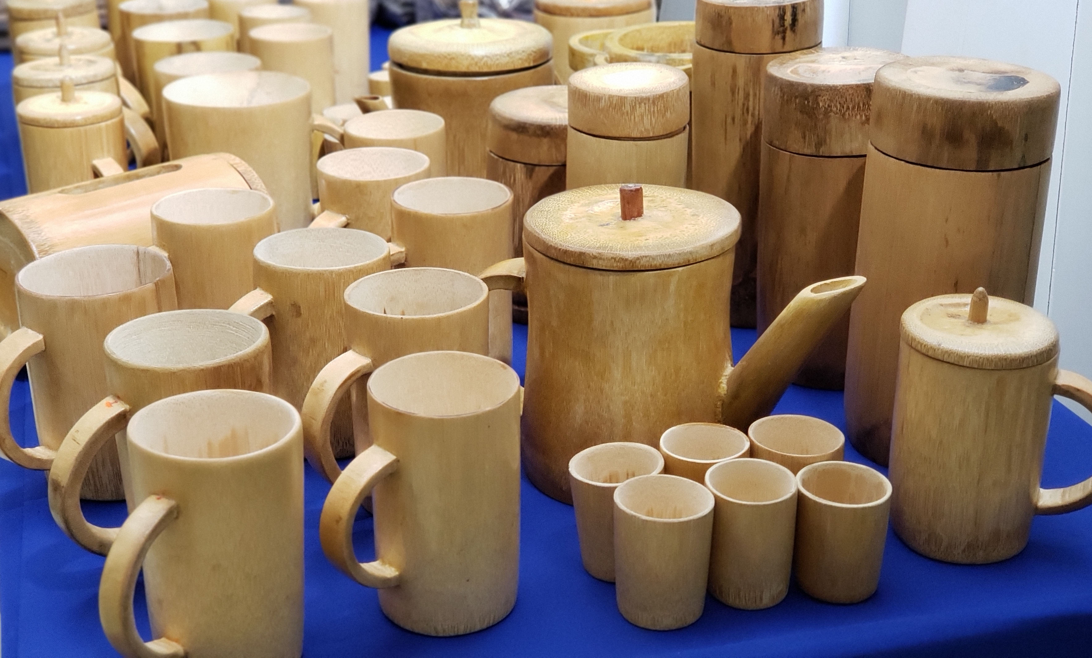 Bamboo Producer Group is happy to see their business keep growing > WCS